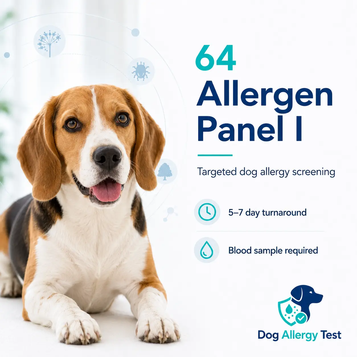 Dog Allergy Test 64 Allergen Panel I – Comprehensive Canine Allergy Screening